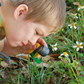Fen ve Doğa Keşif Etkinlikleri